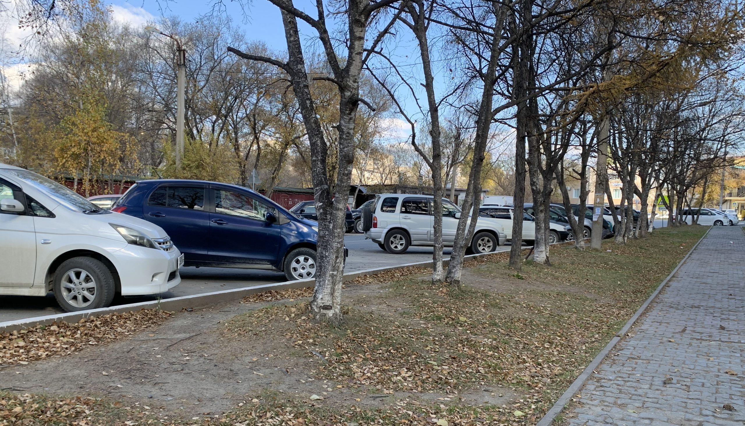 Штраф за «ёлочку» - Новости в городе Большой Камень | Сетевое издание